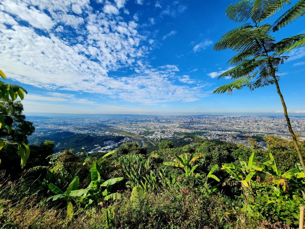 小百岳集起來-三汀山2180653