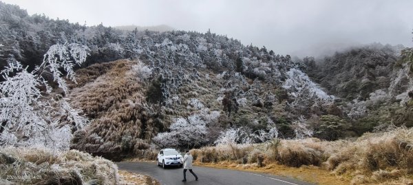 #霧淞 #雲海 #雲瀑 #霧虹 #太平山 #望洋山 #觀雲步道 #翠峰道路  2/82995370