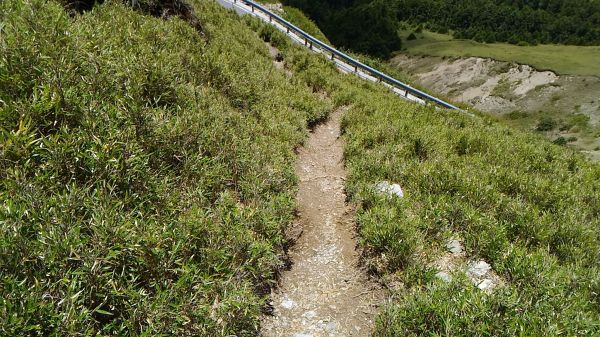 合歡山主峰、東峰、石門山及合歡尖山之行360939