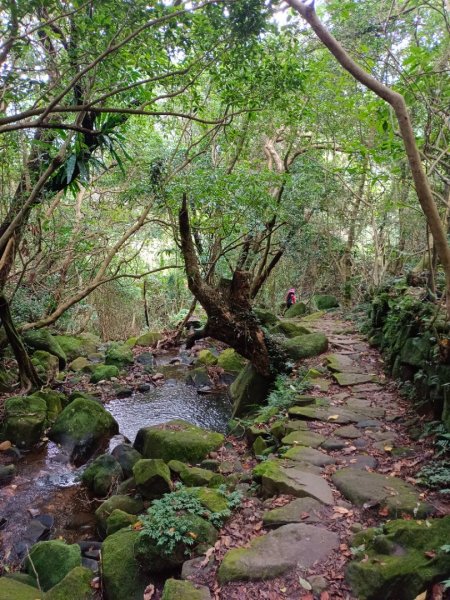 走遍陽明山2301766