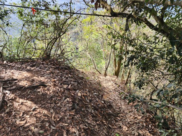 20230416大坑步道2~5+石苓湖山2175622