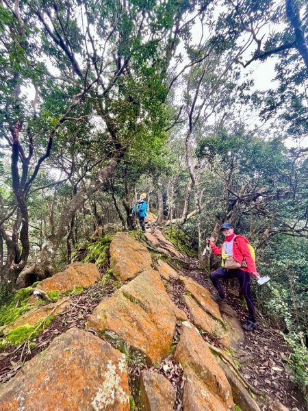 【苗栗郊山聖稜線】仙神象18連峰大縱走2675991