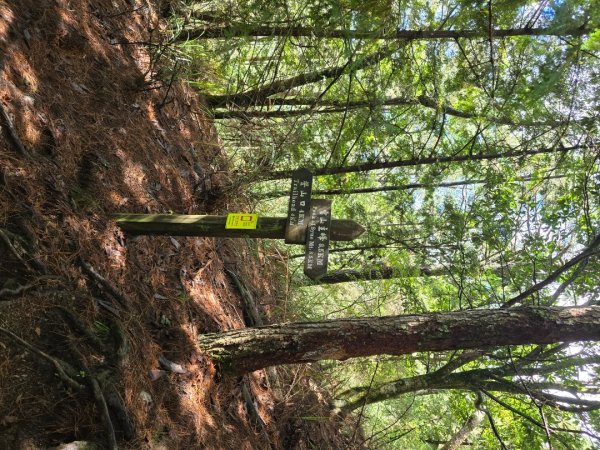 志佳陽大山／至高點／雪山大草原／瓢單山屋／四季蘭溪吊橋2927667