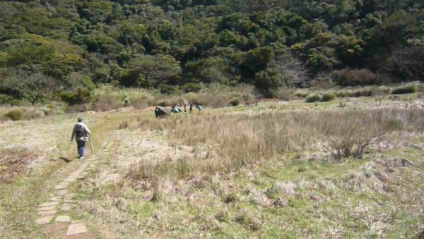 初四走春～向天山、面天山1270740