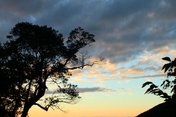 大雪山林道上的落日夕陽217848