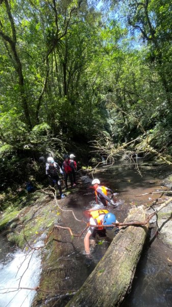 坪林-碧湖溪-蛋糕瀑布群（溯溪）2820914