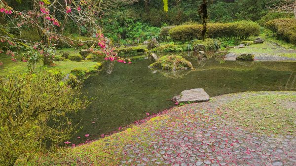 2025-0221 明池步道2718250