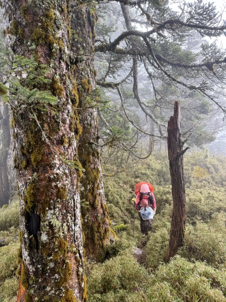 南一段 2025 / 04/02~04/062764404