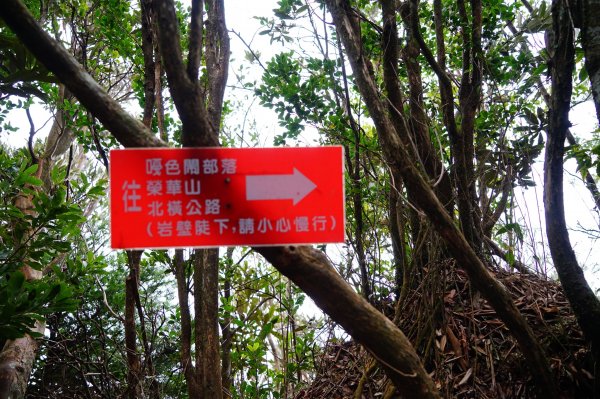 新竹關西鎮 水田林道之貴妃&那結山連走1539740