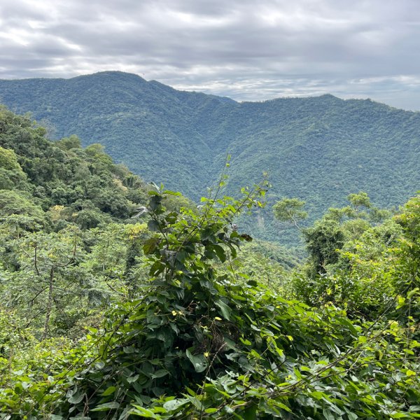 20251130_棚集山+斜坡上藝術節（屏東小百岳）2968603