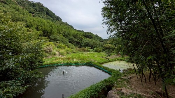 114.06.01溪山百年古圳-太平尾山+聖人崙之旅2801886