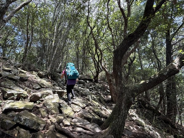 波津加山 202509142893376