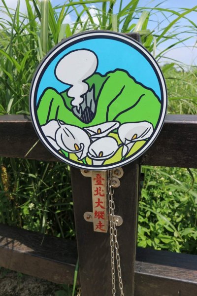 陽明山  頂湖環狀步道  ，竹子湖芋見小路 歐洲庭園 浪漫繡球花步道2174169
