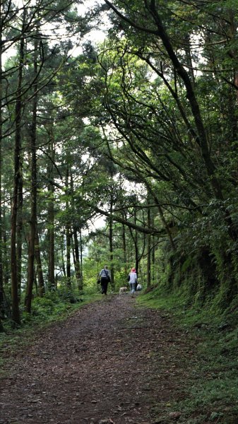 坪溪古道1020052