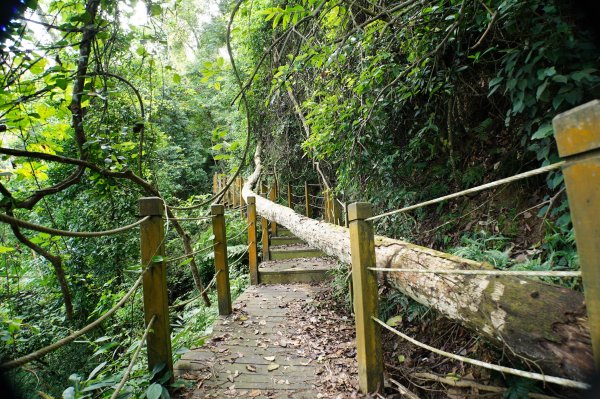 台中 和平 埋伏坪山2924977