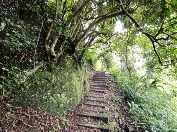 (二格山系)銀河洞越嶺-2025微笑山線大縱走尋寶集章任務2855218