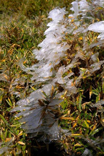 風雨雪中嘉明湖初登場1182078