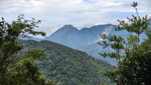 【谷關七雄】新山馬崙 - 松香裡的時光迴廊：聽山林講述歲月的故事3094001