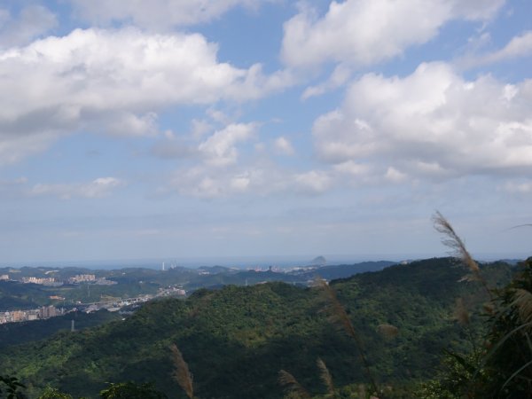 泰安瀑布-姜子寮山步道821754