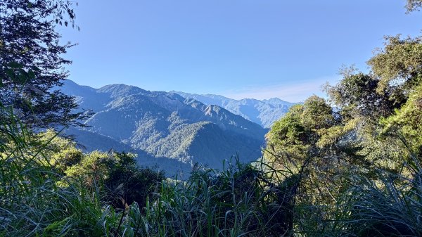大霸群峰登山步道(大鹿林道線)2911389
