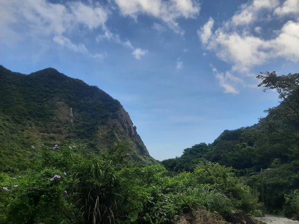 金瓜石，與奈良美智的詩意邂逅2883177