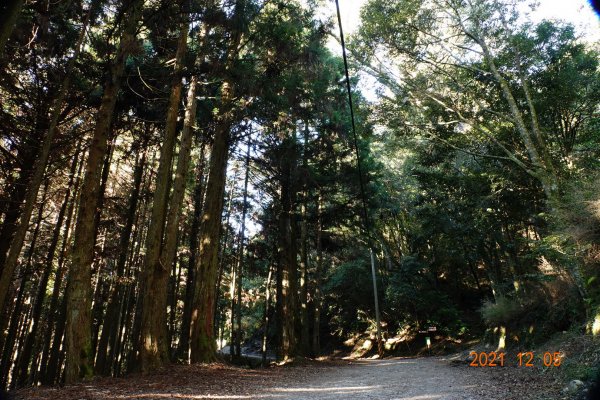 苗栗 泰安 榛山步道、榛山1540219