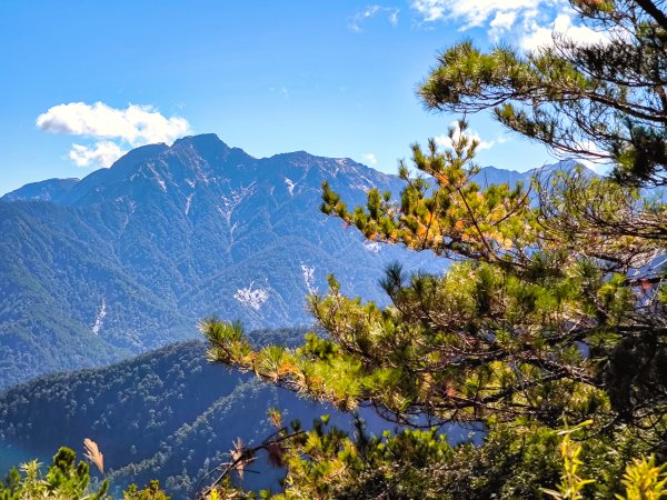2025-11-07 合歡北峰、小溪營地、鷹石尖、北峰名樹2934327