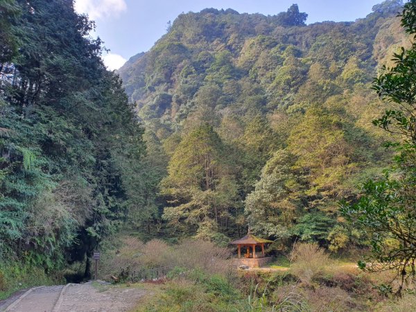 特富野古道1303976