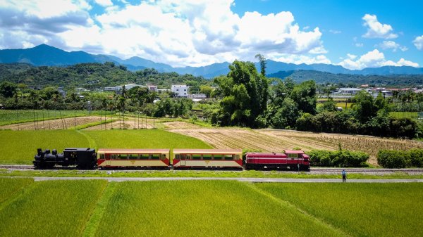 【活動】阿里山林業鐵路109年囉！特別開行國寶級蒸汽火車SL-25「崎．有囍事」主題列車！