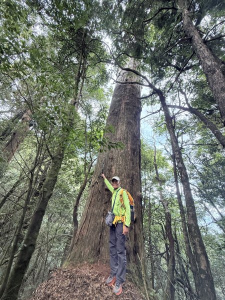 船型山神木悠遊    2025.09.222893822