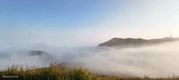 #大屯山 #雲海 3/223019599