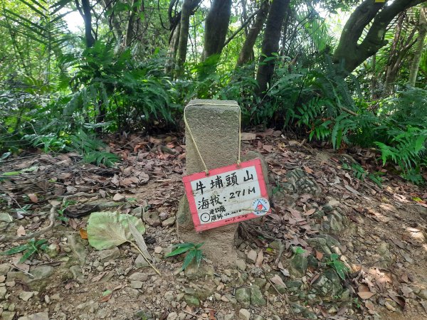 圓通寺烘爐地登山步道1425390