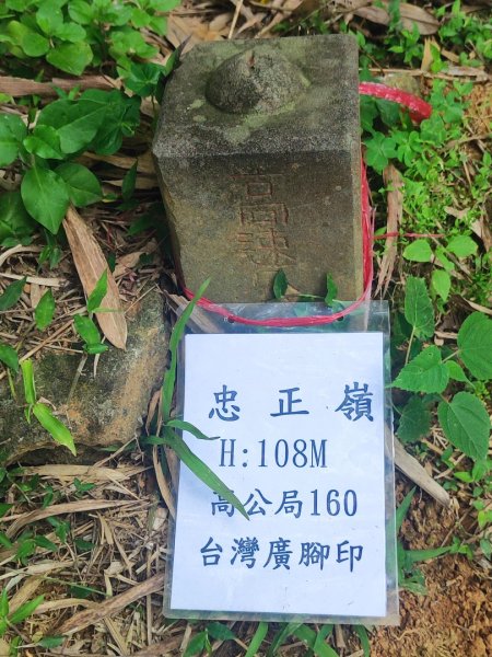 2026台北大縱走3014244