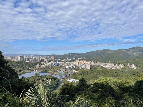 大湖翠湖金龍湖2711892