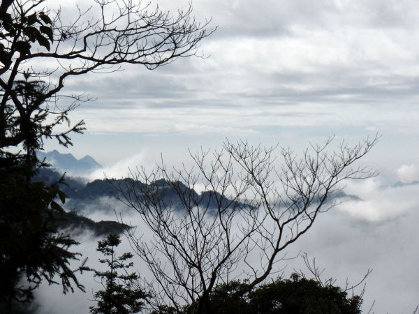 谷關七雄~屋我尾山293621