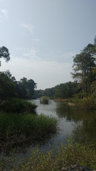 2020 2/4 虎頭埤878926