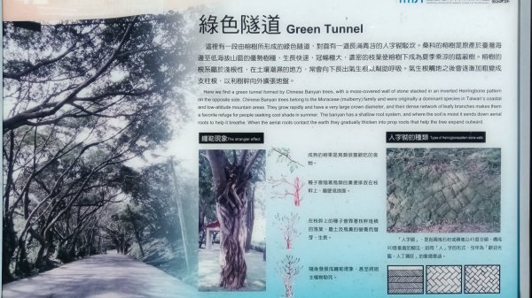 基隆市容軒步道-潮境公園雙膨山-七斗山(101高地)-望幽谷3112625