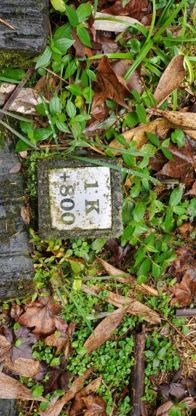 2025-01-18頂湖步道2694224