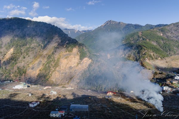 福壽山千櫻園櫻花季初開2717410