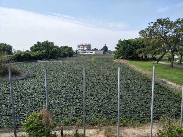 葫蘆埤自然公園歩道1495487