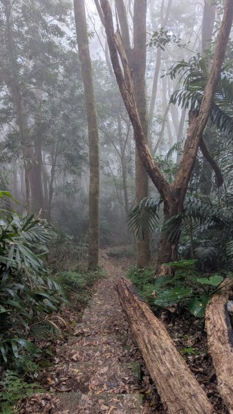 橫龍山、橫龍古道2682950