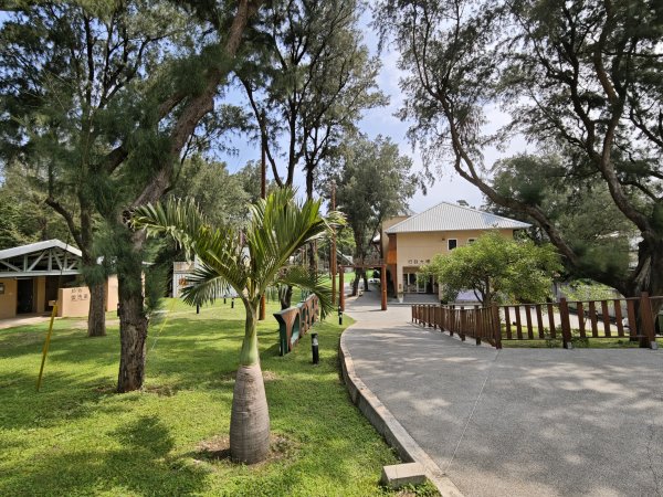 [霄裡好風光，運動樂悠遊！-3/10] 2025_0608 青年體驗學習園區2808117