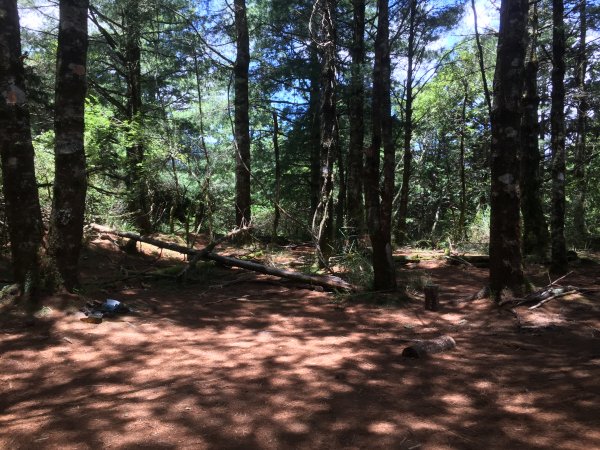 20220620高雄塔關山1743007