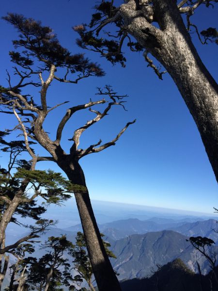 北大武133355