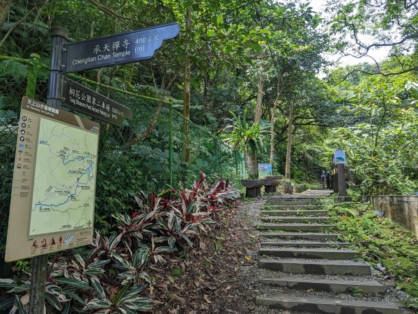 天上山：朝山步道、桐花公園、天上山、賞螢步道1737613