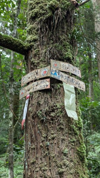 113.06.22坪溪古道-石坑山之旅2533769