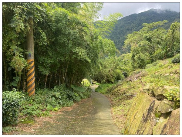 後棟仔山 O型路線2833455