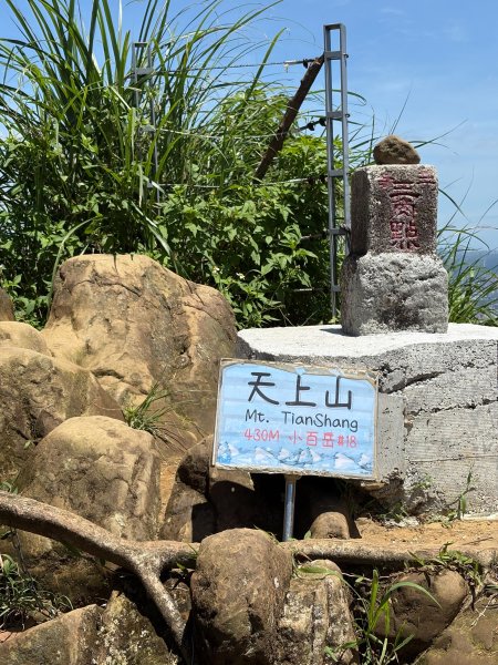 微笑山線：望月亭桐花段3088390