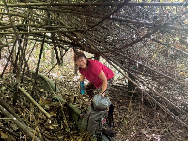 雙崎埋伏坪山歩道、鯉魚潭水庫、大峽谷2938931