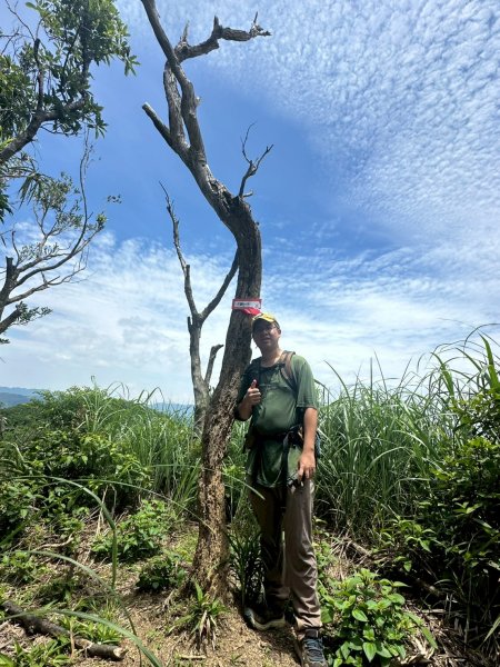 20250601梅竹蹊山-480峰-苕谷坑山2803392